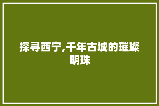 探寻西宁,千年古城的璀璨明珠