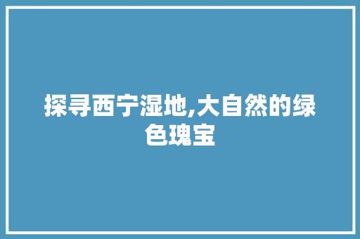 探寻西宁湿地,大自然的绿色瑰宝