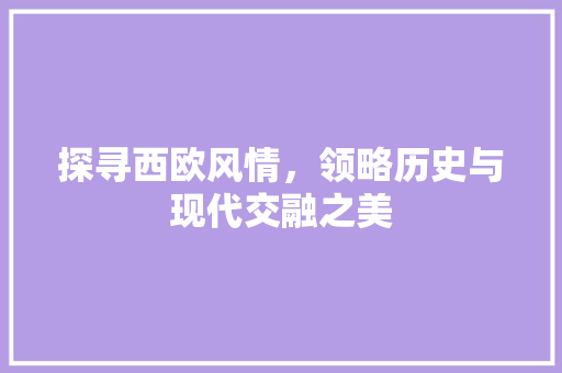 探寻西欧风情，领略历史与现代交融之美