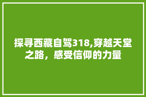 探寻西藏自驾318,穿越天堂之路，感受信仰的力量