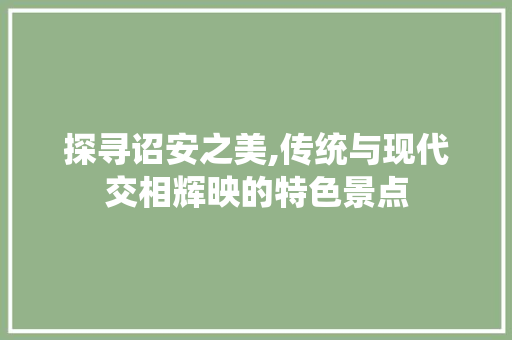 探寻诏安之美,传统与现代交相辉映的特色景点