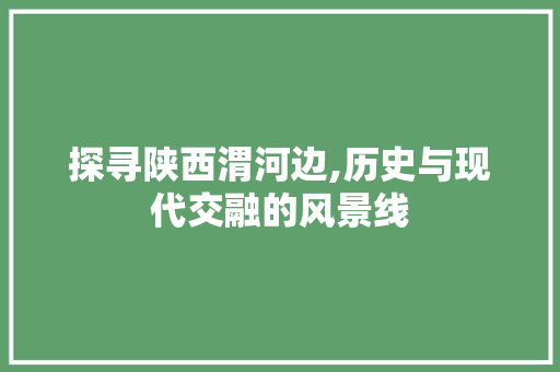 探寻陕西渭河边,历史与现代交融的风景线  第1张