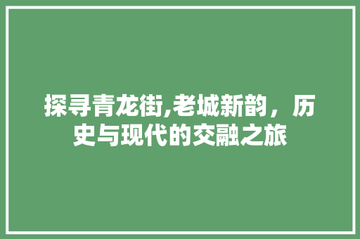 探寻青龙街,老城新韵，历史与现代的交融之旅