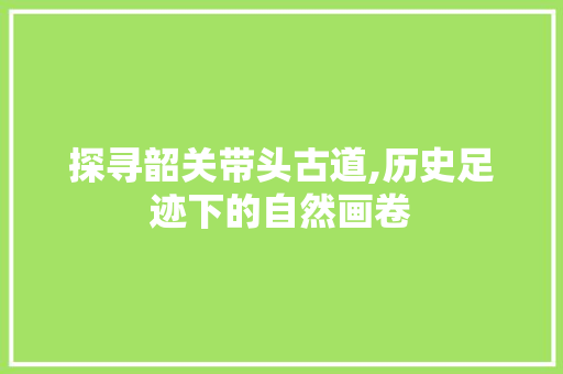 探寻韶关带头古道,历史足迹下的自然画卷  第1张