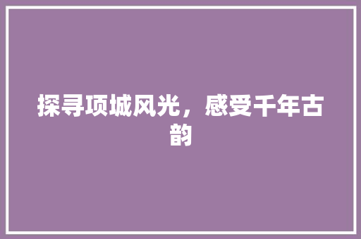 探寻项城风光，感受千年古韵  第1张