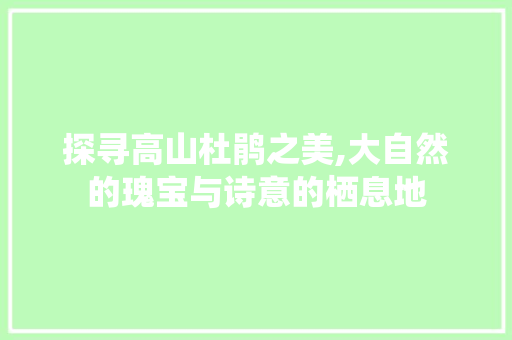 探寻高山杜鹃之美,大自然的瑰宝与诗意的栖息地