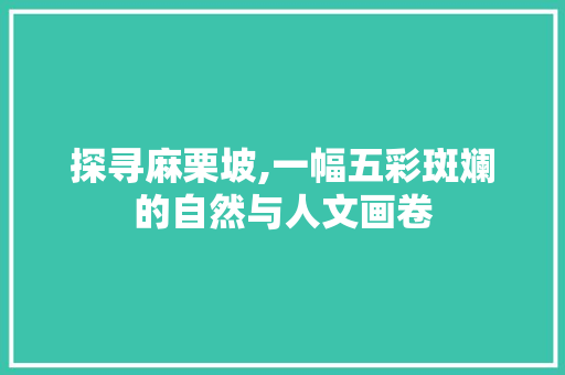 探寻麻栗坡,一幅五彩斑斓的自然与人文画卷  第1张