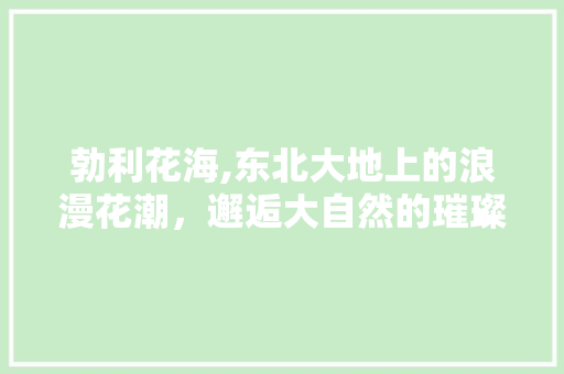 勃利花海,东北大地上的浪漫花潮，邂逅大自然的璀璨画卷  第1张