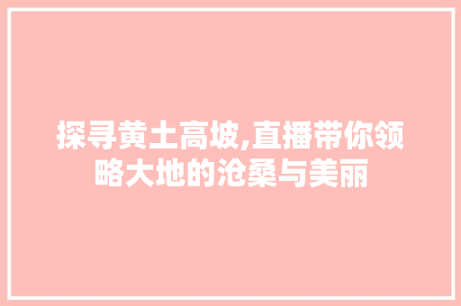 探寻黄土高坡,直播带你领略大地的沧桑与美丽