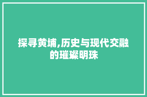 探寻黄埔,历史与现代交融的璀璨明珠