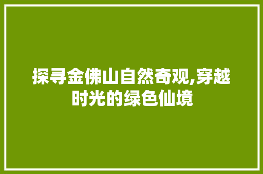 探寻金佛山自然奇观,穿越时光的绿色仙境