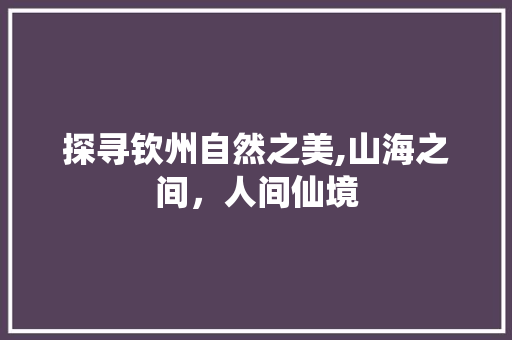 探寻钦州自然之美,山海之间，人间仙境  第1张