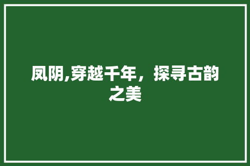 凤阴,穿越千年，探寻古韵之美