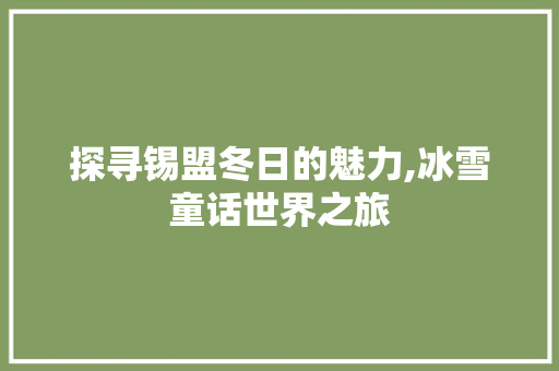 探寻锡盟冬日的魅力,冰雪童话世界之旅  第1张