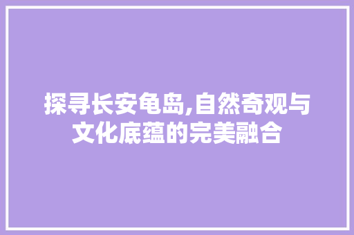 探寻长安龟岛,自然奇观与文化底蕴的完美融合