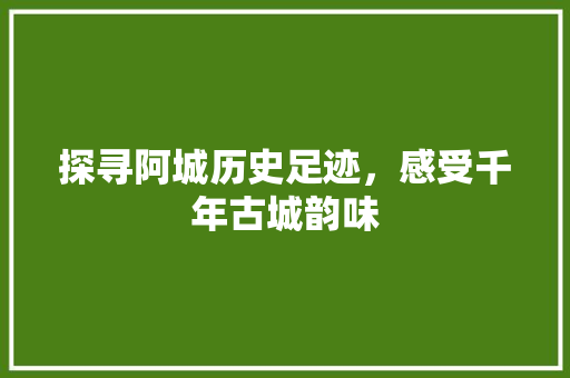 探寻阿城历史足迹，感受千年古城韵味
