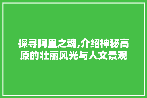 探寻阿里之魂,介绍神秘高原的壮丽风光与人文景观