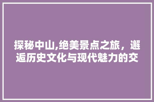 探秘中山,绝美景点之旅，邂逅历史文化与现代魅力的交融