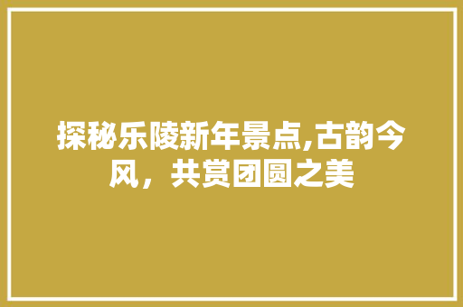 探秘乐陵新年景点,古韵今风，共赏团圆之美  第1张