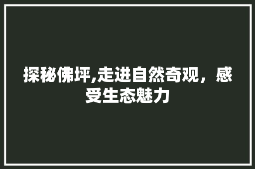探秘佛坪,走进自然奇观，感受生态魅力