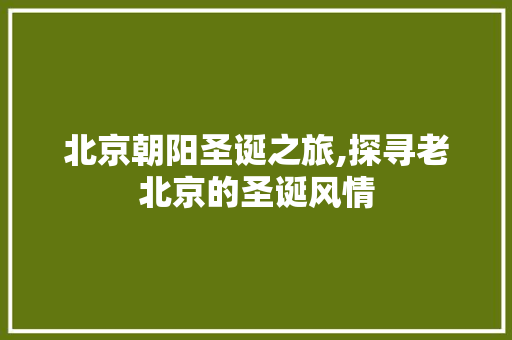 北京朝阳圣诞之旅,探寻老北京的圣诞风情