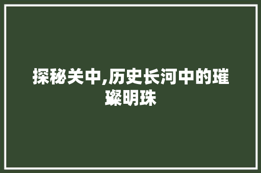 探秘关中,历史长河中的璀璨明珠  第1张