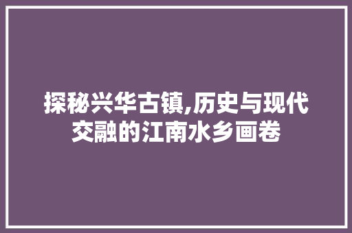 探秘兴华古镇,历史与现代交融的江南水乡画卷