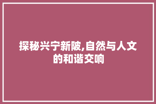 探秘兴宁新陂,自然与人文的和谐交响