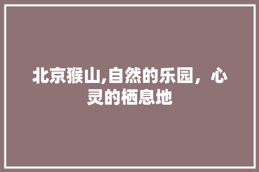 北京猴山,自然的乐园，心灵的栖息地