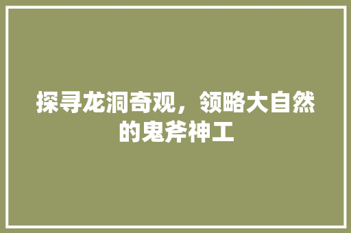 探寻龙洞奇观，领略大自然的鬼斧神工  第1张