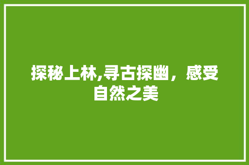 探秘上林,寻古探幽，感受自然之美