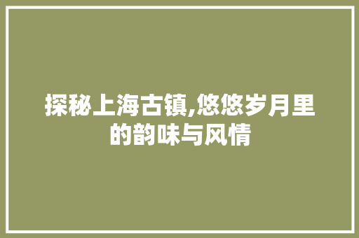 探秘上海古镇,悠悠岁月里的韵味与风情