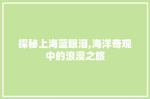 探秘上海蓝眼泪,海洋奇观中的浪漫之旅