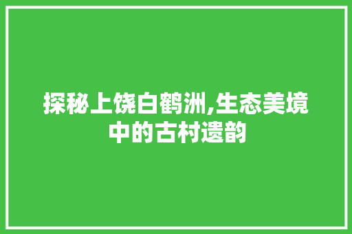探秘上饶白鹤洲,生态美境中的古村遗韵