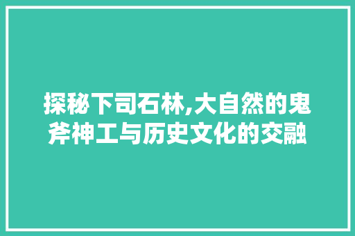 探秘下司石林,大自然的鬼斧神工与历史文化的交融