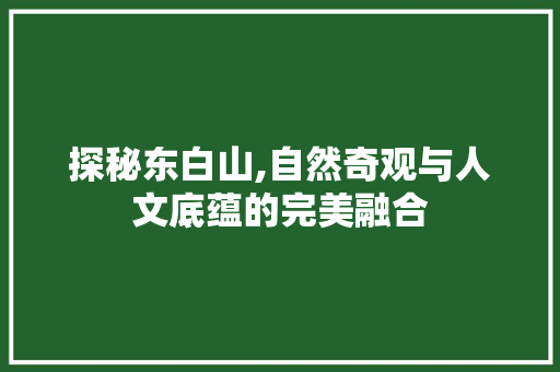 探秘东白山,自然奇观与人文底蕴的完美融合