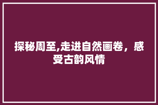 探秘周至,走进自然画卷，感受古韵风情