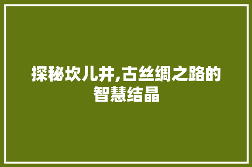 探秘坎儿井,古丝绸之路的智慧结晶  第1张