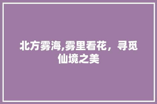 北方雾海,雾里看花，寻觅仙境之美  第1张
