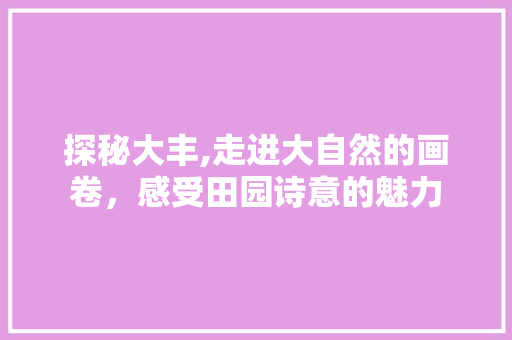 探秘大丰,走进大自然的画卷，感受田园诗意的魅力  第1张