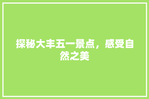 探秘大丰五一景点，感受自然之美  第1张