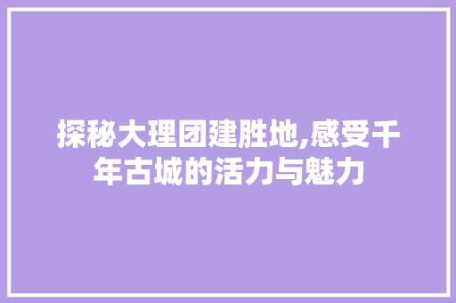 探秘大理团建胜地,感受千年古城的活力与魅力
