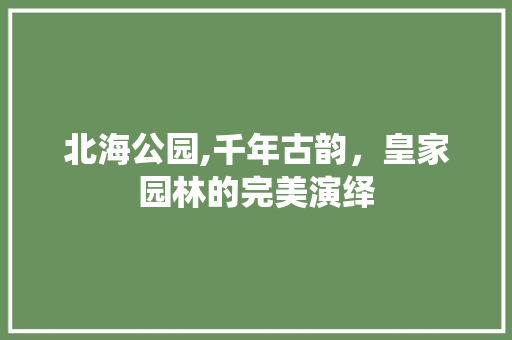 北海公园,千年古韵，皇家园林的完美演绎