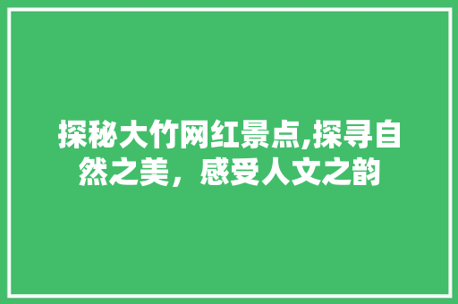 探秘大竹网红景点,探寻自然之美，感受人文之韵