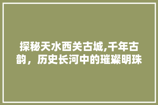 探秘天水西关古城,千年古韵，历史长河中的璀璨明珠