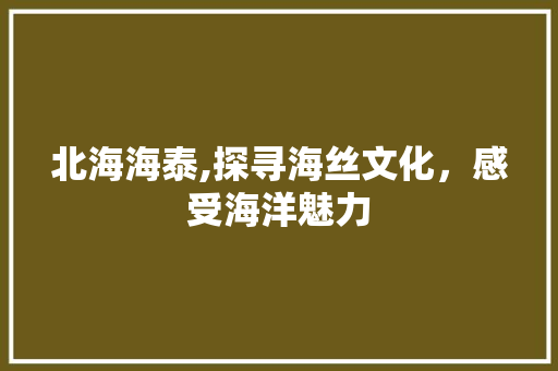 北海海泰,探寻海丝文化，感受海洋魅力