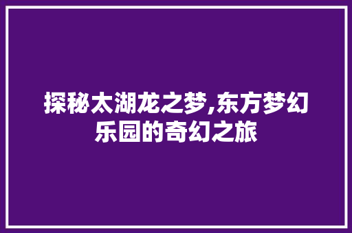 探秘太湖龙之梦,东方梦幻乐园的奇幻之旅