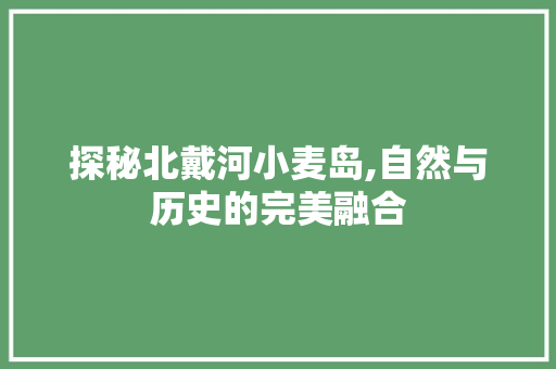 探秘北戴河小麦岛,自然与历史的完美融合  第1张