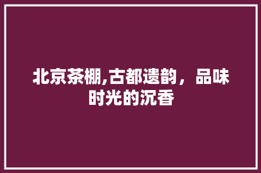 北京茶棚,古都遗韵，品味时光的沉香