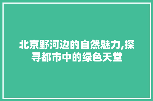 北京野河边的自然魅力,探寻都市中的绿色天堂  第1张